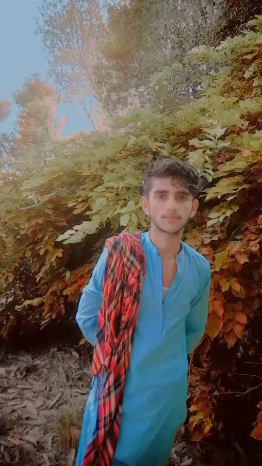 @w d king