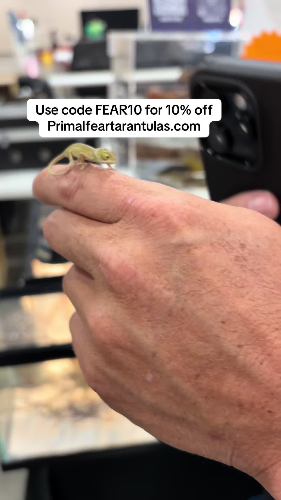@Franksbuggin611