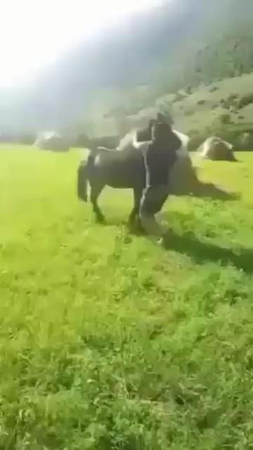 @დავით