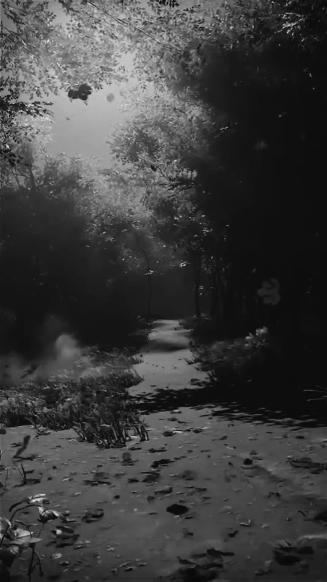 @☆ - Fools 😶🌫️ Diary - ☆