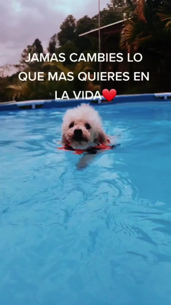 @Sara Chevez