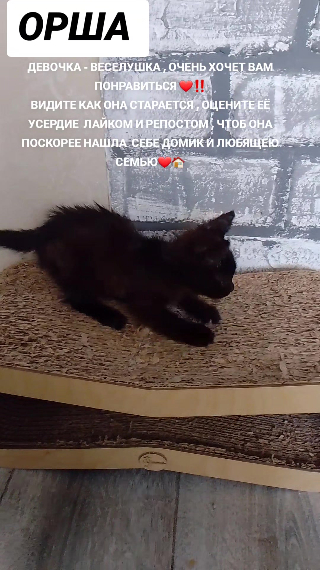 @marinka20_09