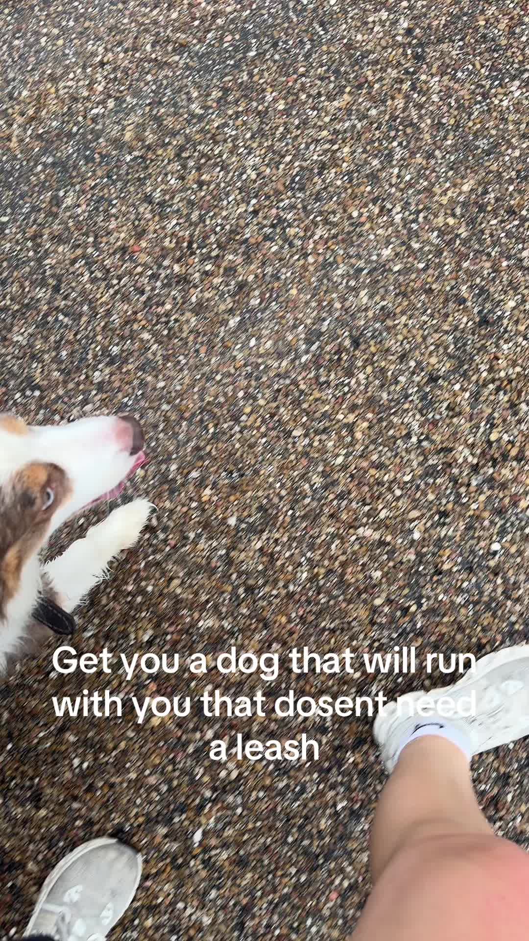@kinsleysmith❤️