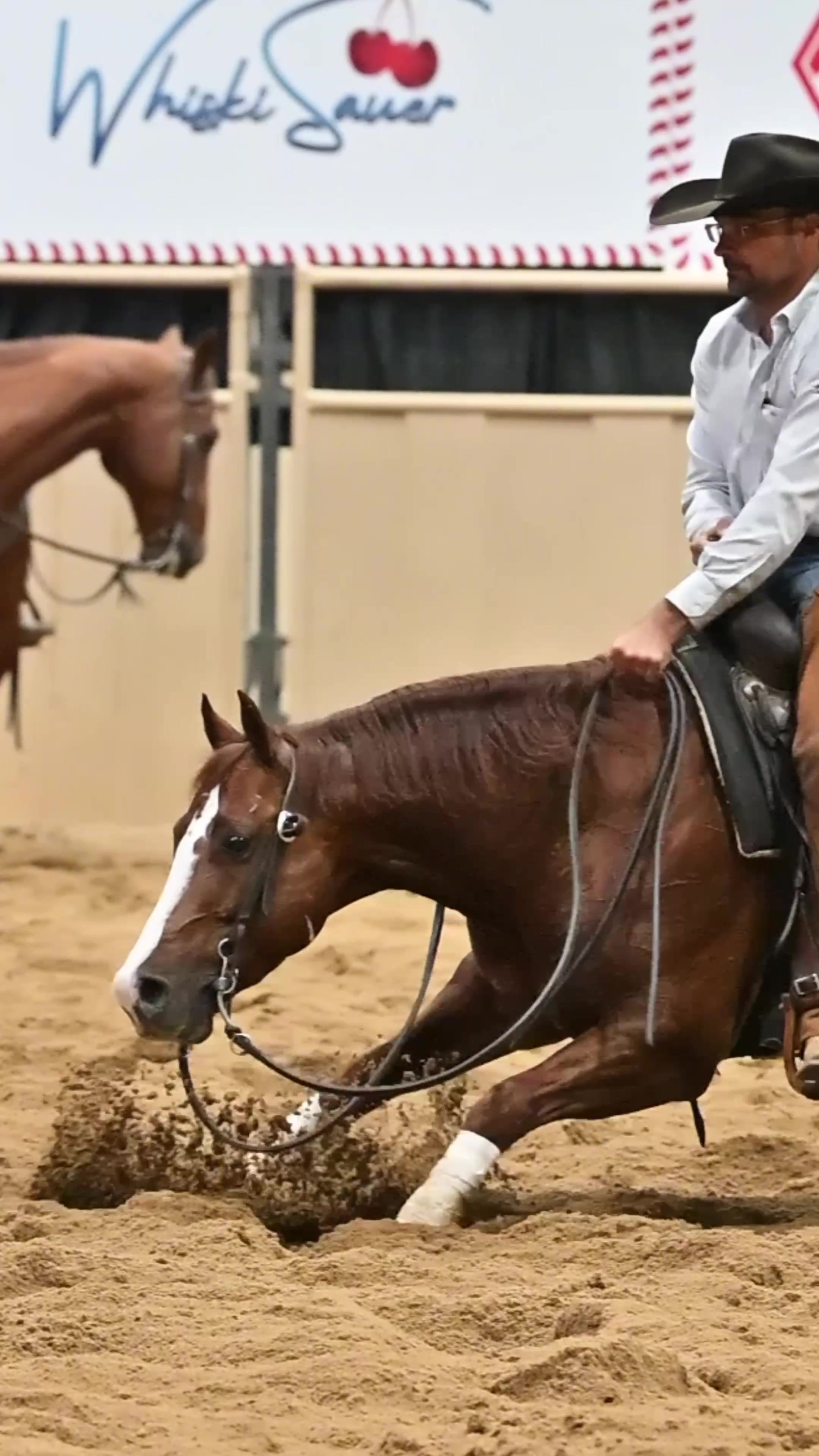 @Solo Select Horses