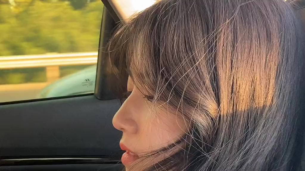 @LyxFan