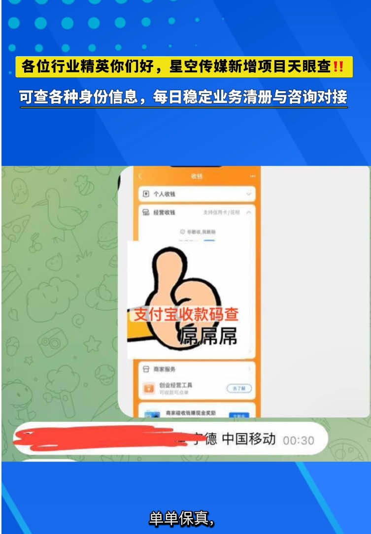 @东南亚华人大事件-小嘉