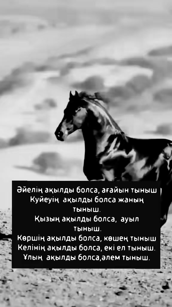 @🇰🇿🇰🇿Serik Baktiyar🇰🇿🇰🇿