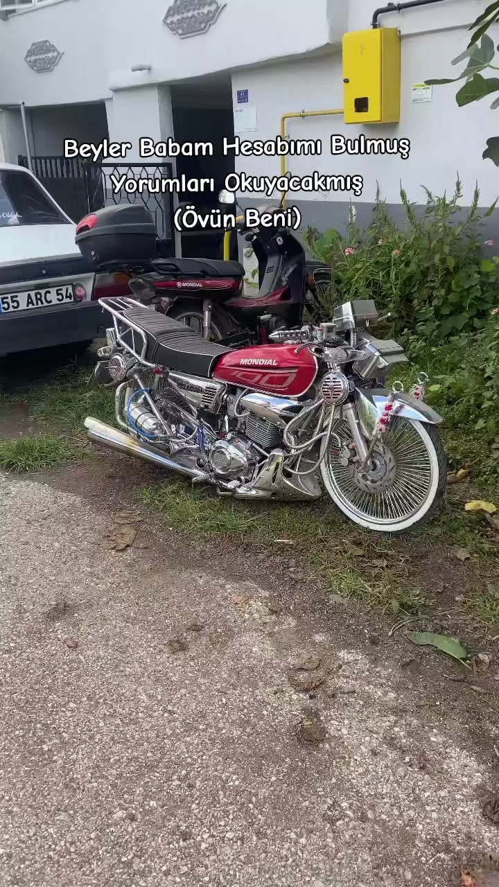 @eemr_tsn