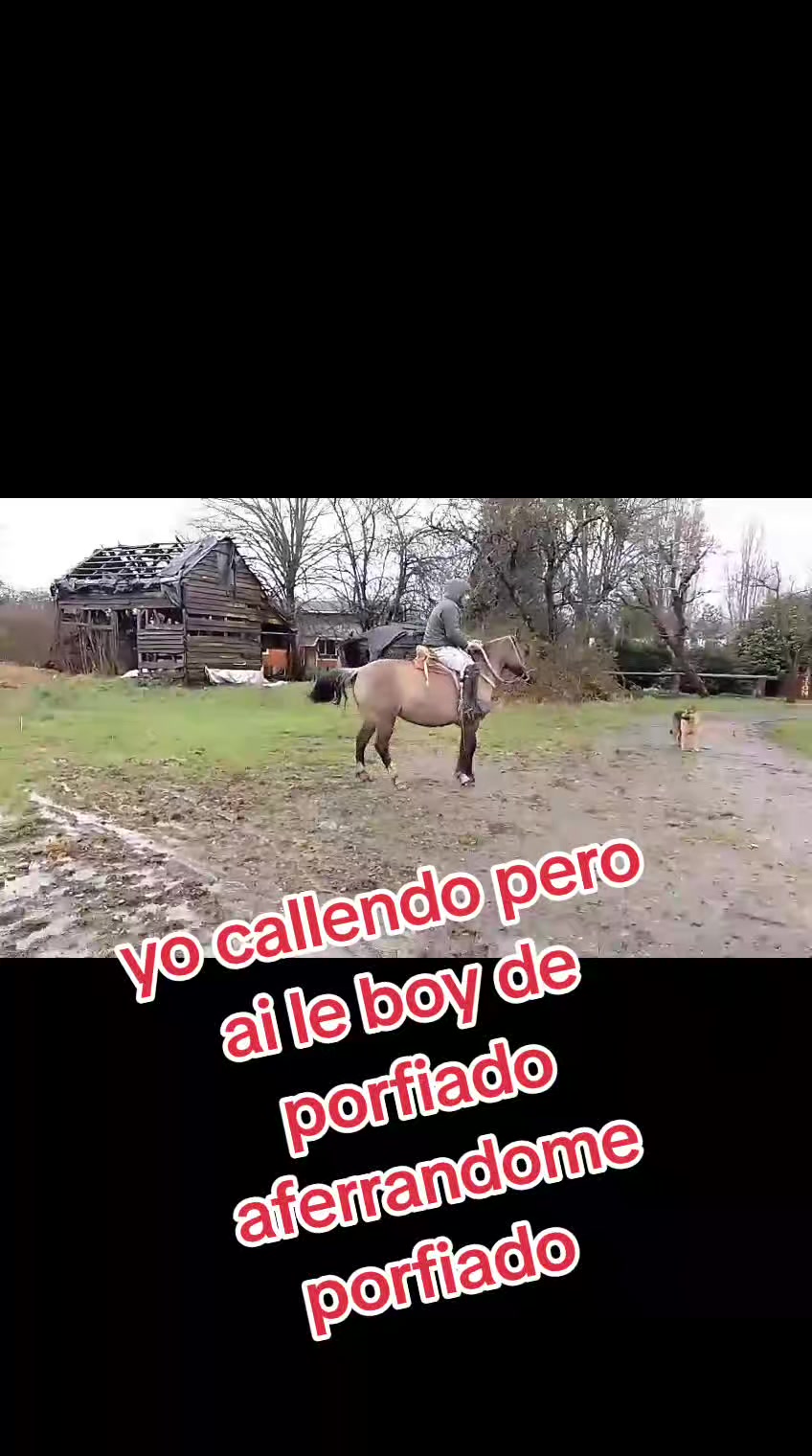 @nano Albarrán