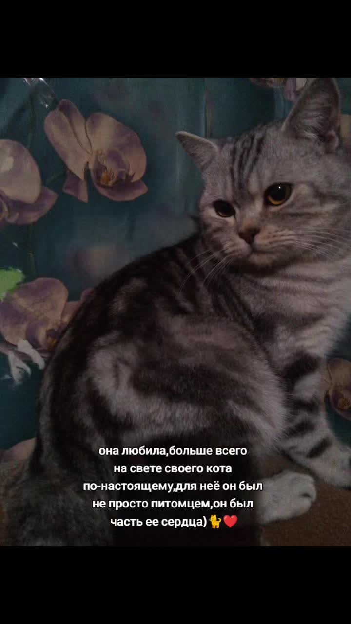 @😝