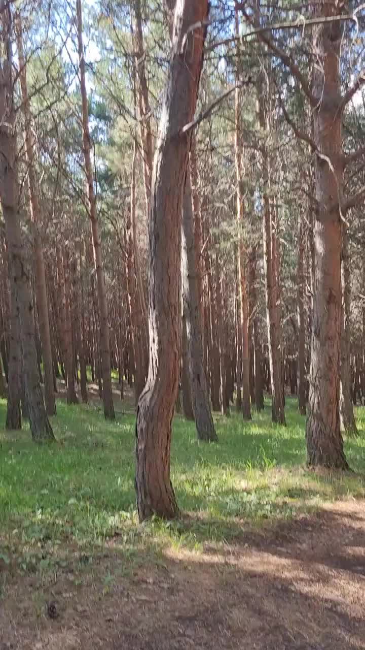 @Lu  ❤