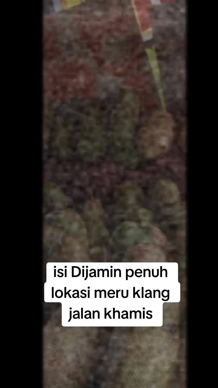 @Selendang merah(pakyus)