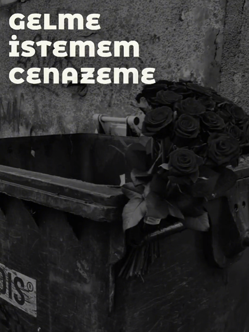 @devolyrics