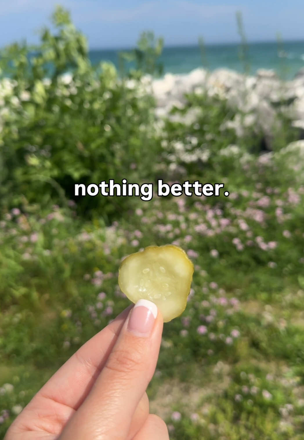 @OH SNAP! Pickling