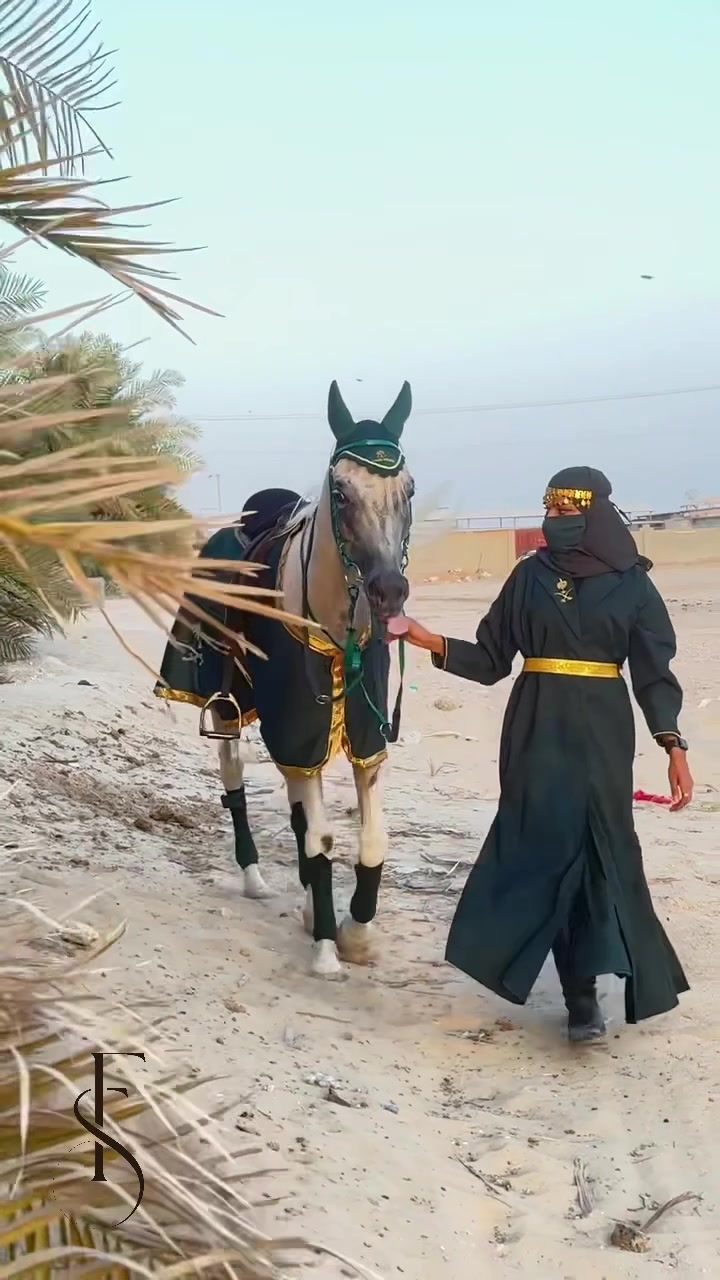 @فَآطُمہ صالح 🐎