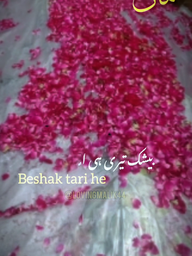 @💫🥀گکھڑ زادی🥀