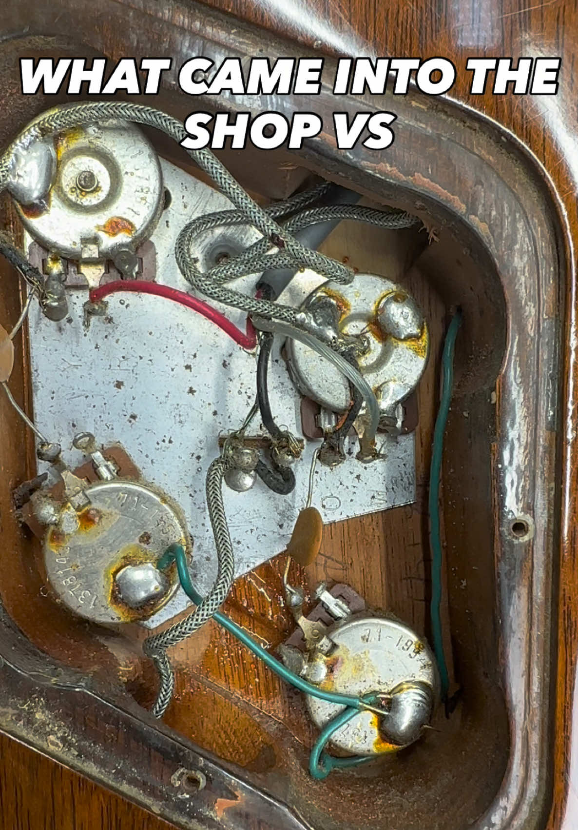 @Miss Shy | Instrument Repair