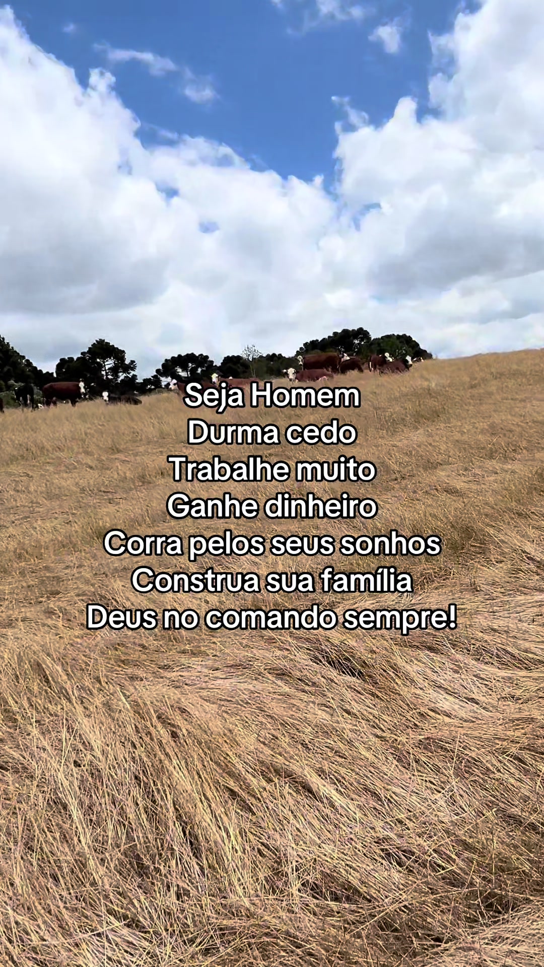 @jeffebarbeiroo