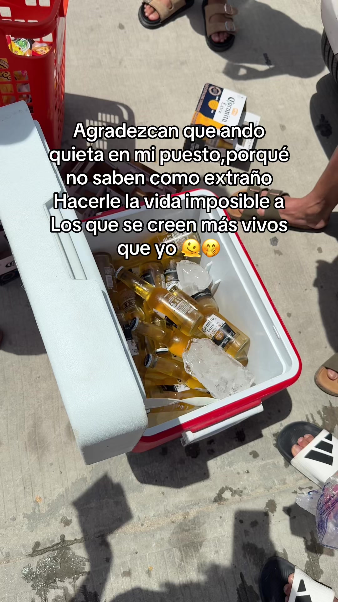@Noe ❤️🩹⚡️