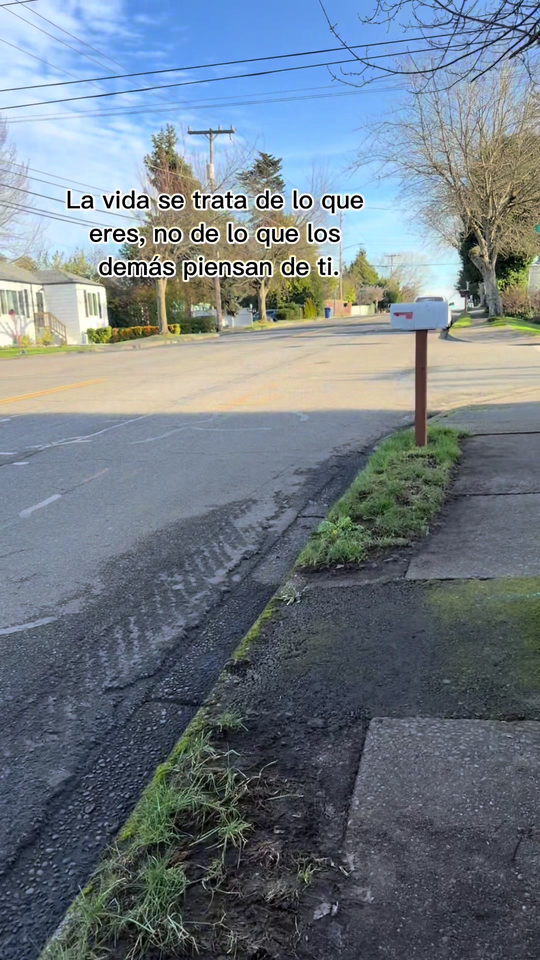 @🪬LuisEHerrera
