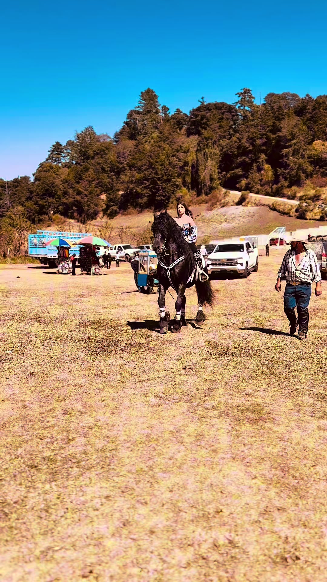 @Beatriz50204🐎🤠