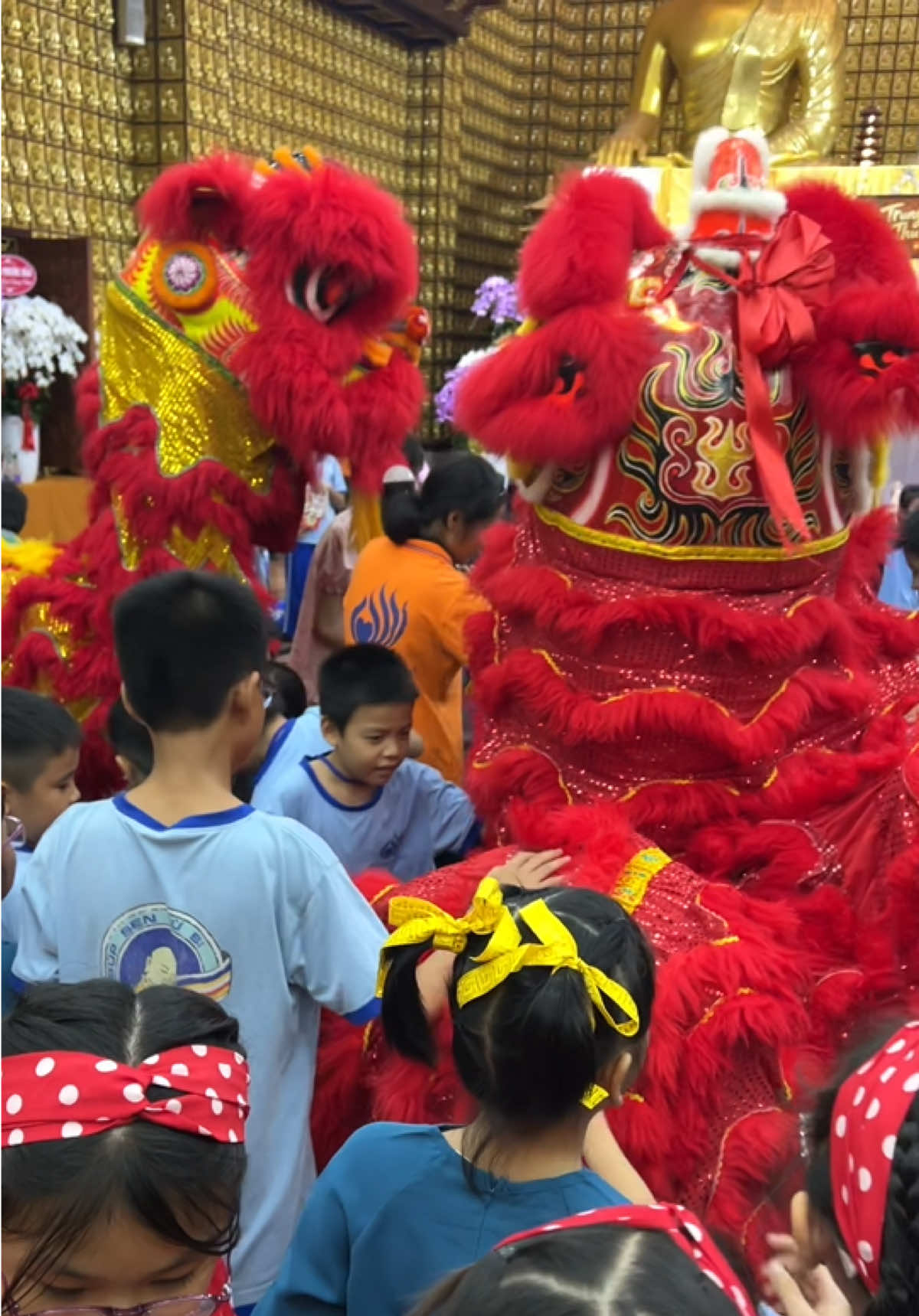 @Khánh hí quê Bạc Liêu