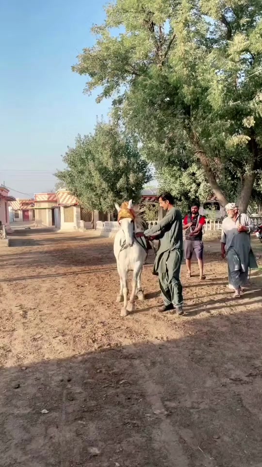 @مخدوم عدیل ظفر