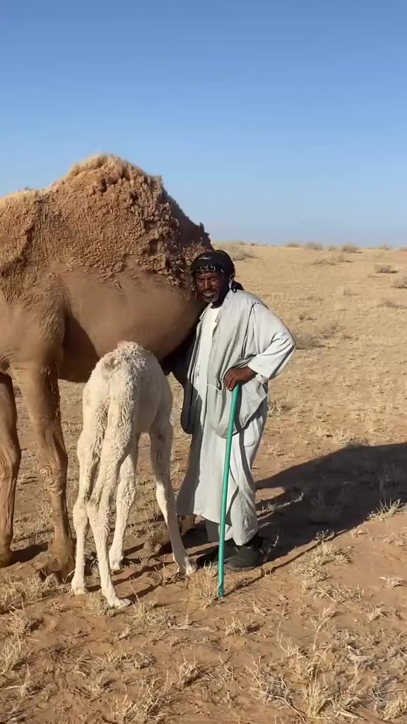 @مجهول