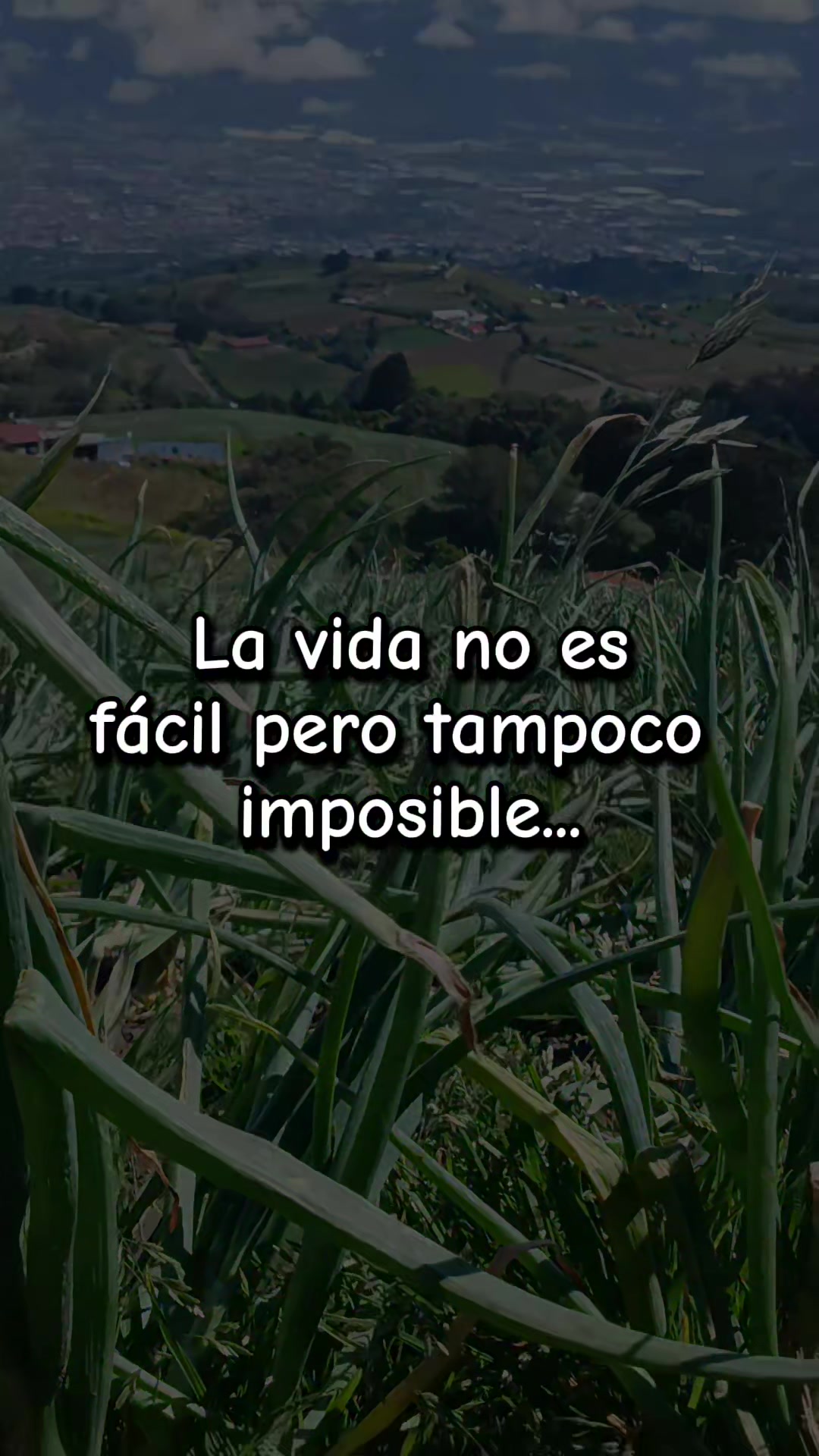 @🇳🇮🧃Osita🐼 Verdadera🧃🇨🇷