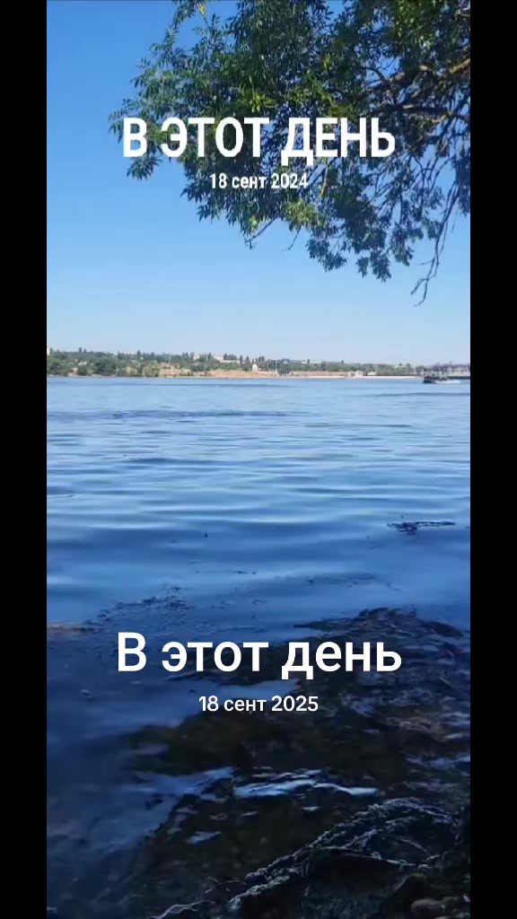 @Vasile😎