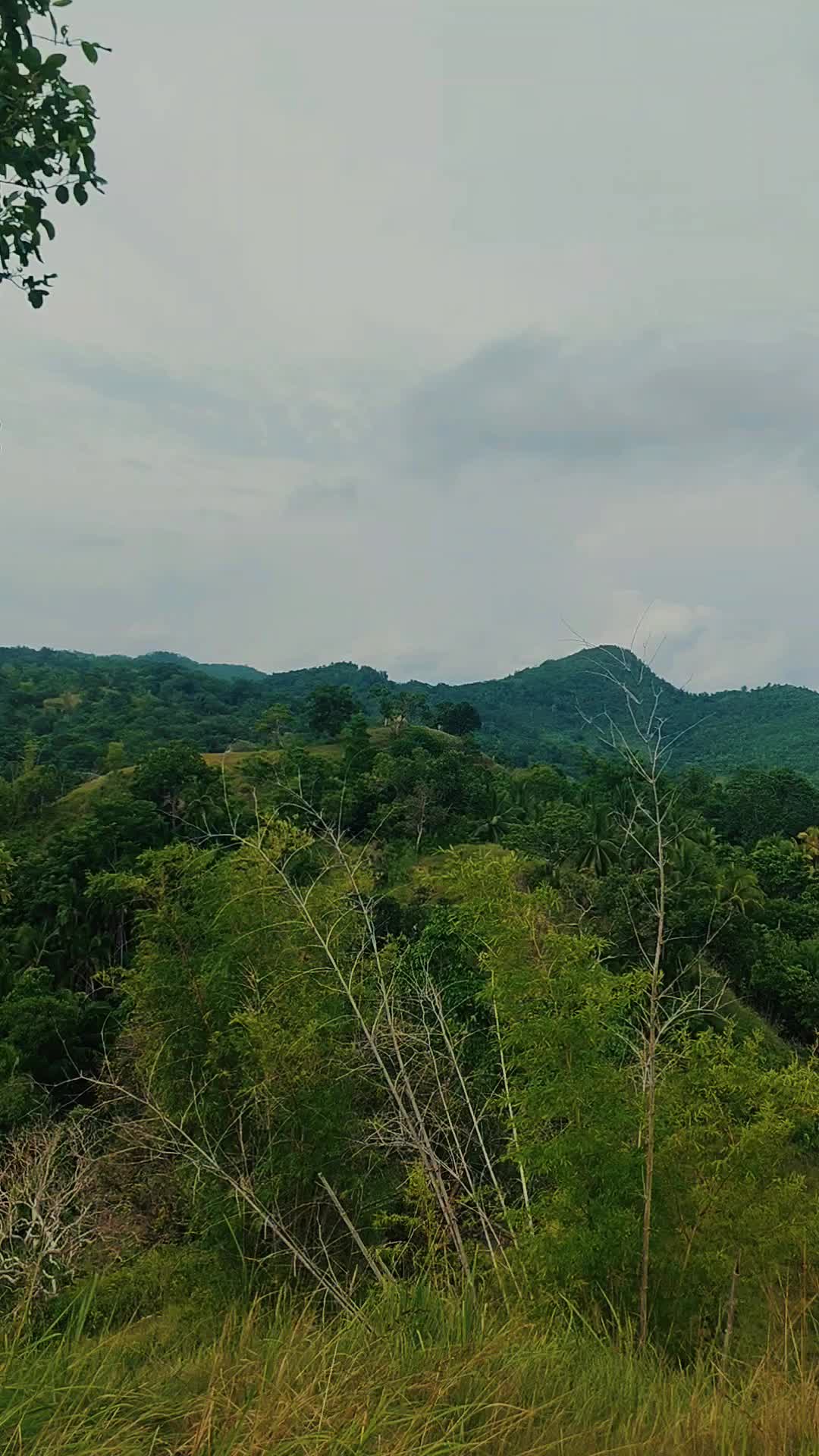 @Kezri