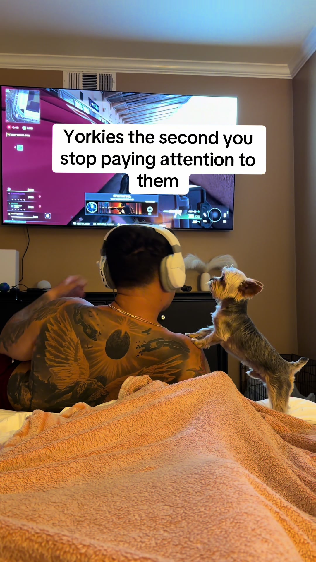 @Milo & Mia 🐾