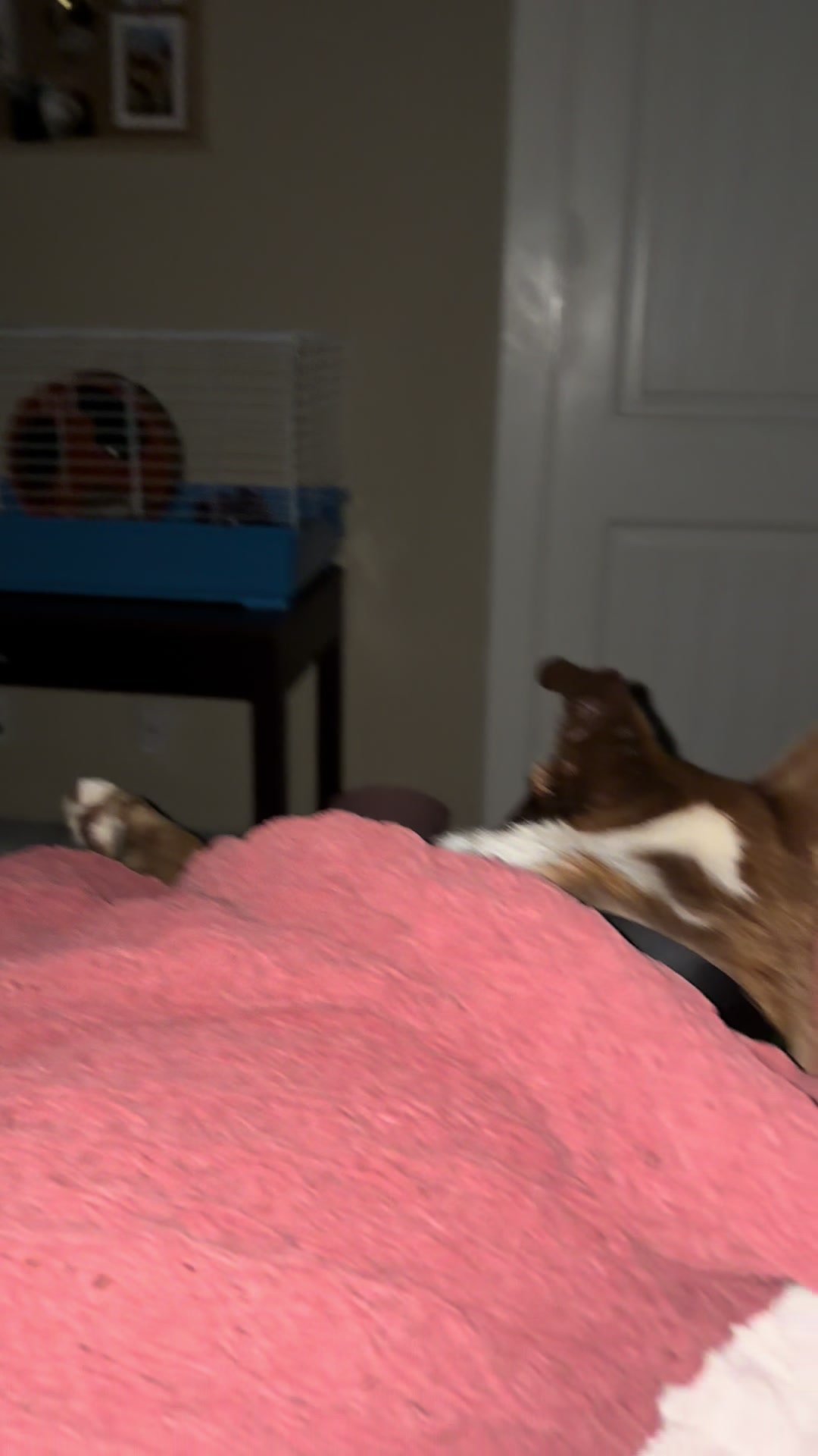 @Dan