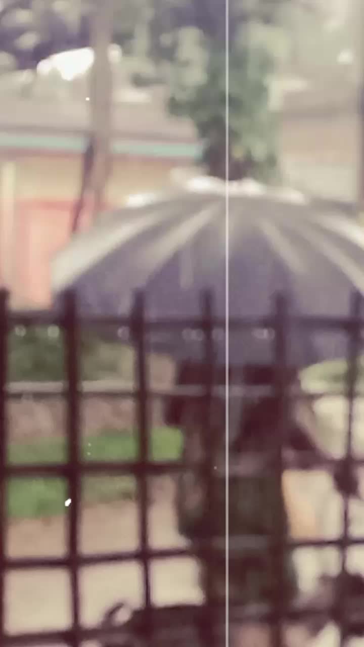@Editor55