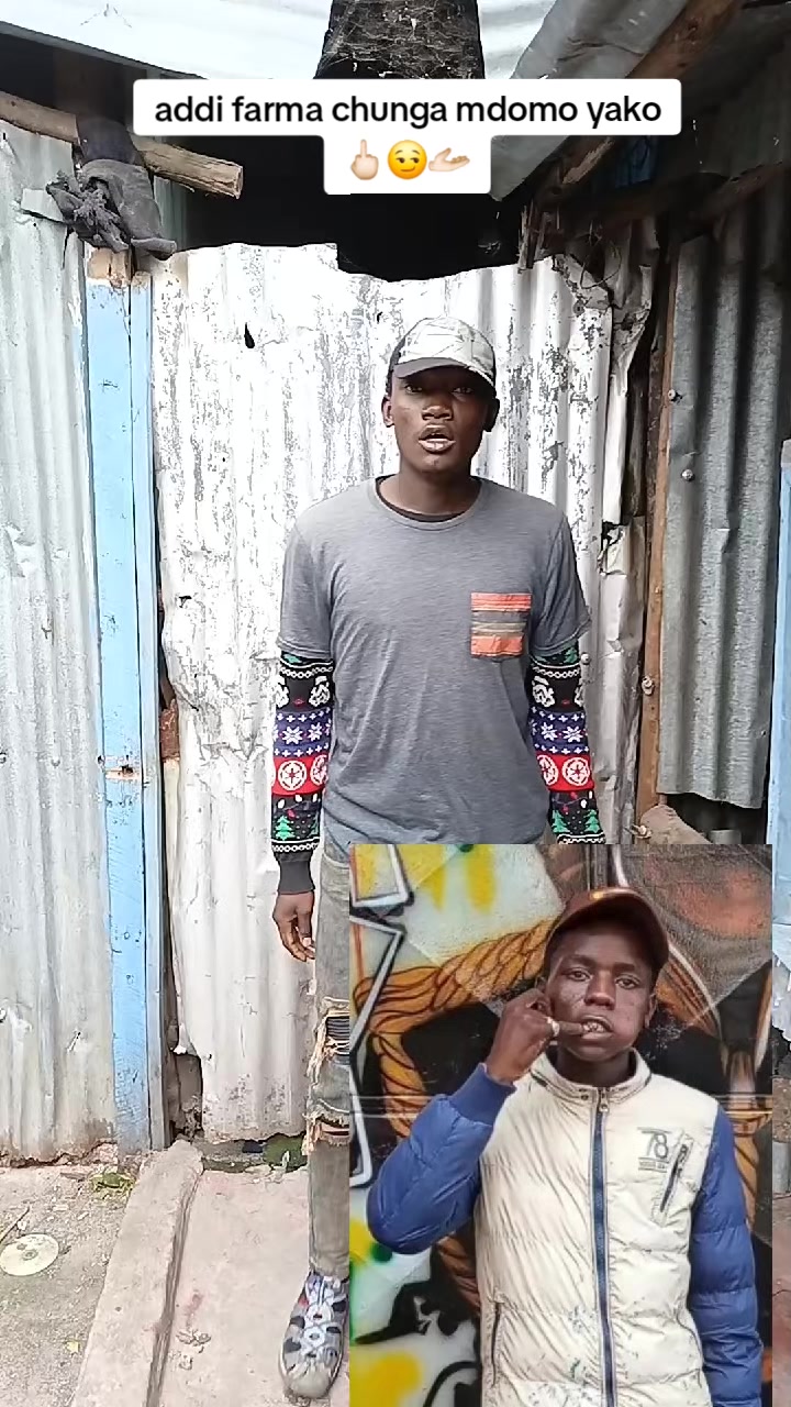 @madova mdingolo