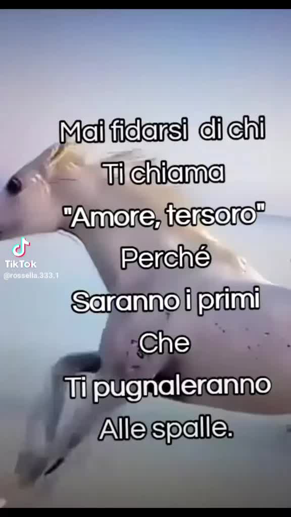 @giovj garofalo