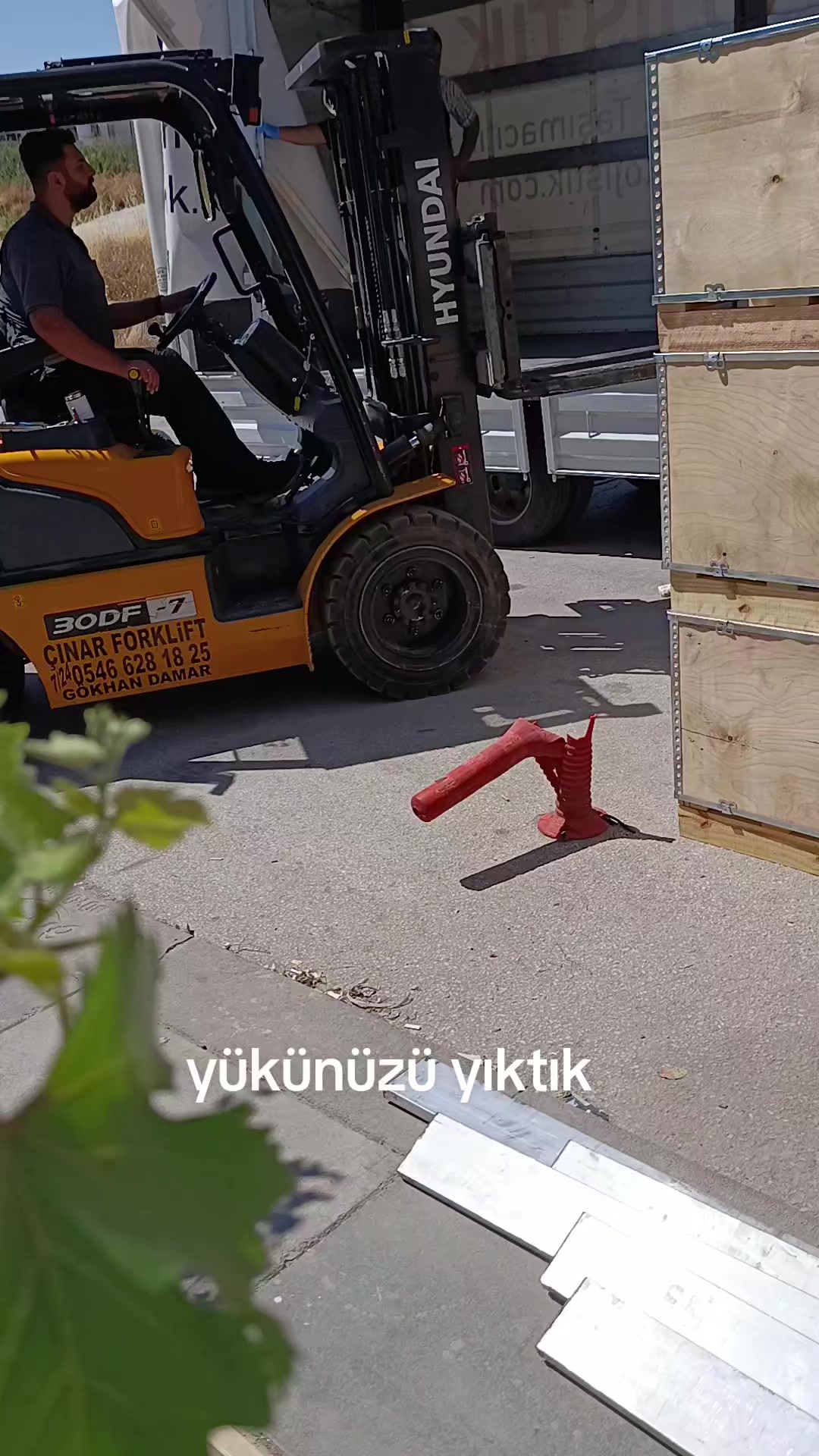 @zalimin kızı 06