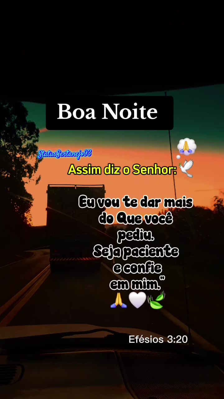 @StatusSertanejo93