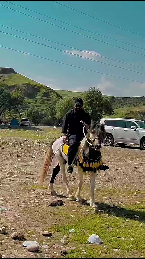 @شيخ🦅عيماد💪الهركي👑