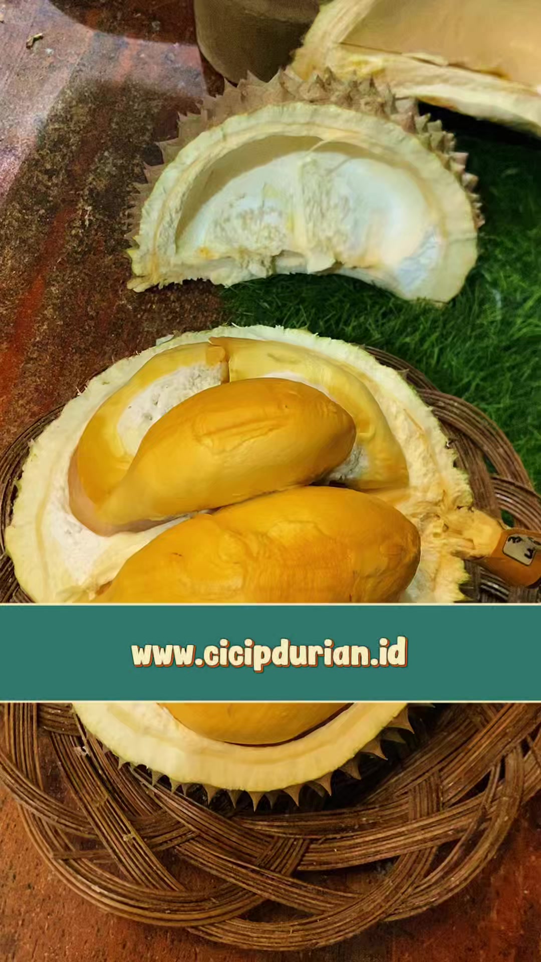 @Cicip Durian