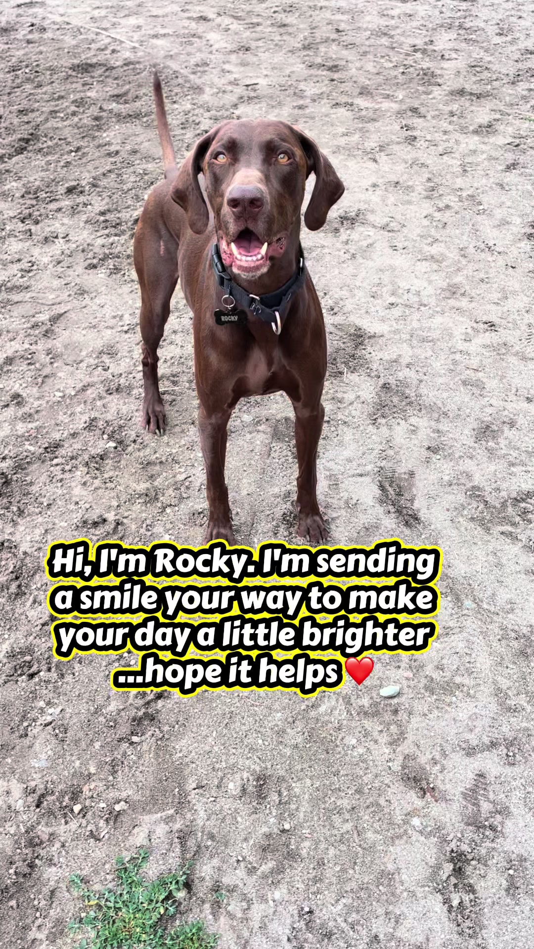 @Rocky_and_mom 🐾❤️🐶