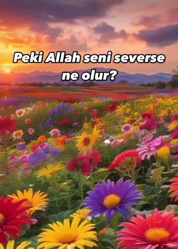 @İslam sayfası 🌸