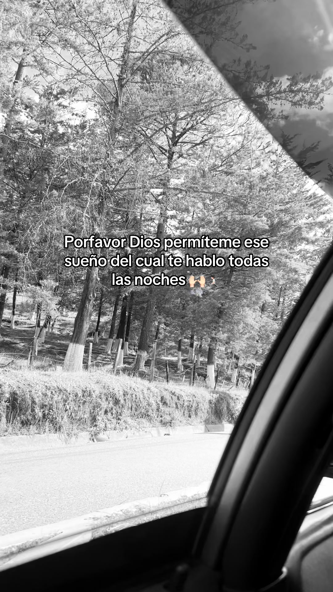 @🧃fracesgtjr🧃