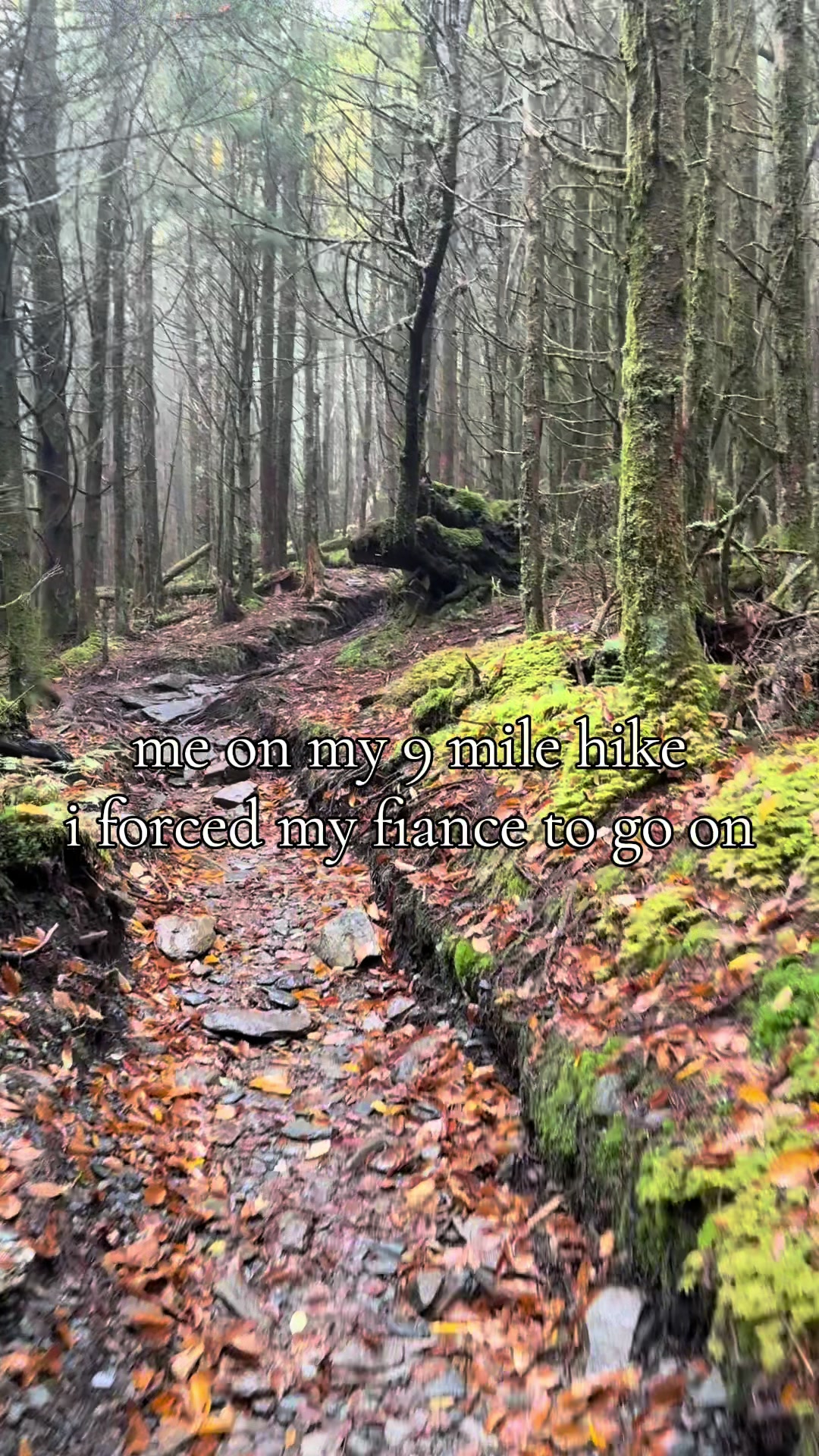 @alyiadventures