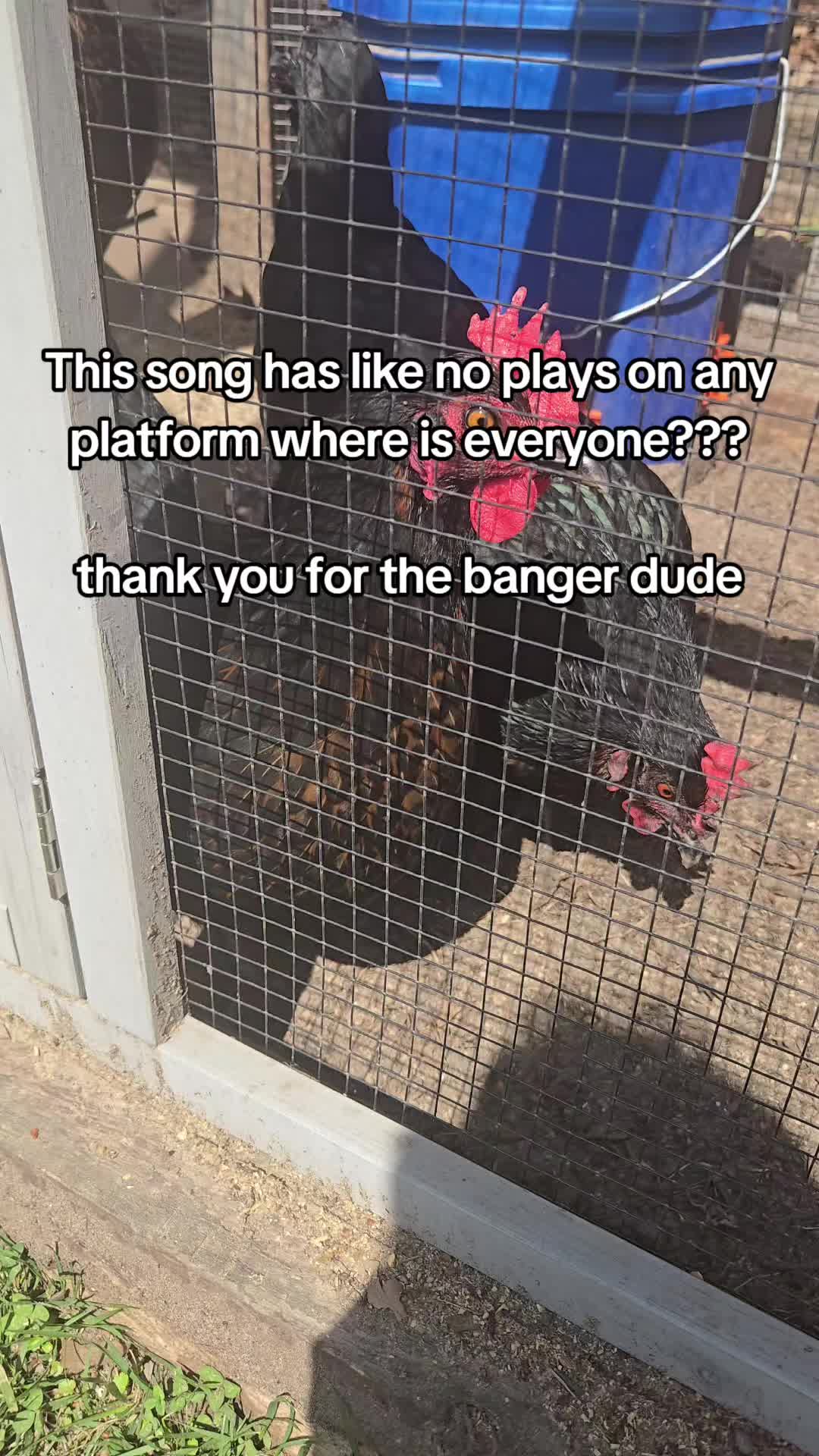 @PoochSnooch
