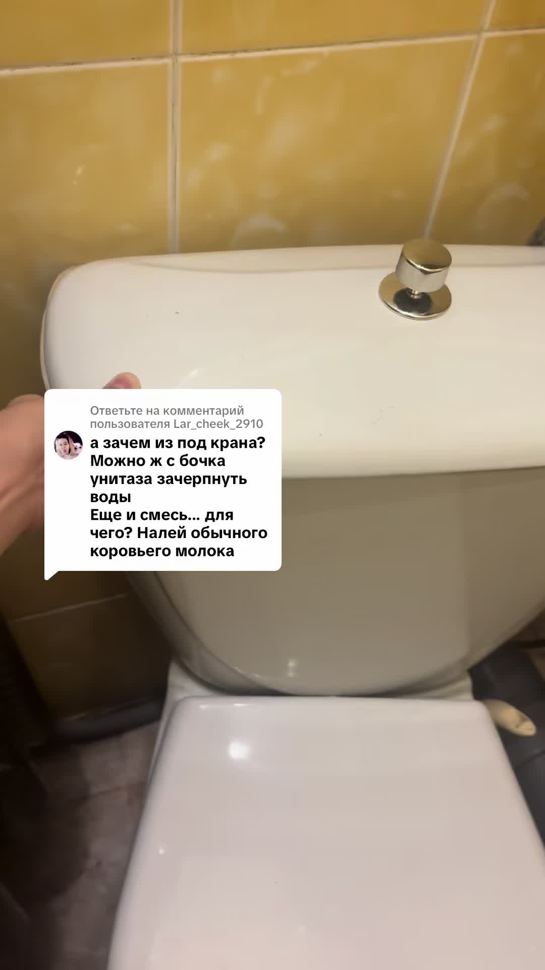 @Корейка на кости 🍖