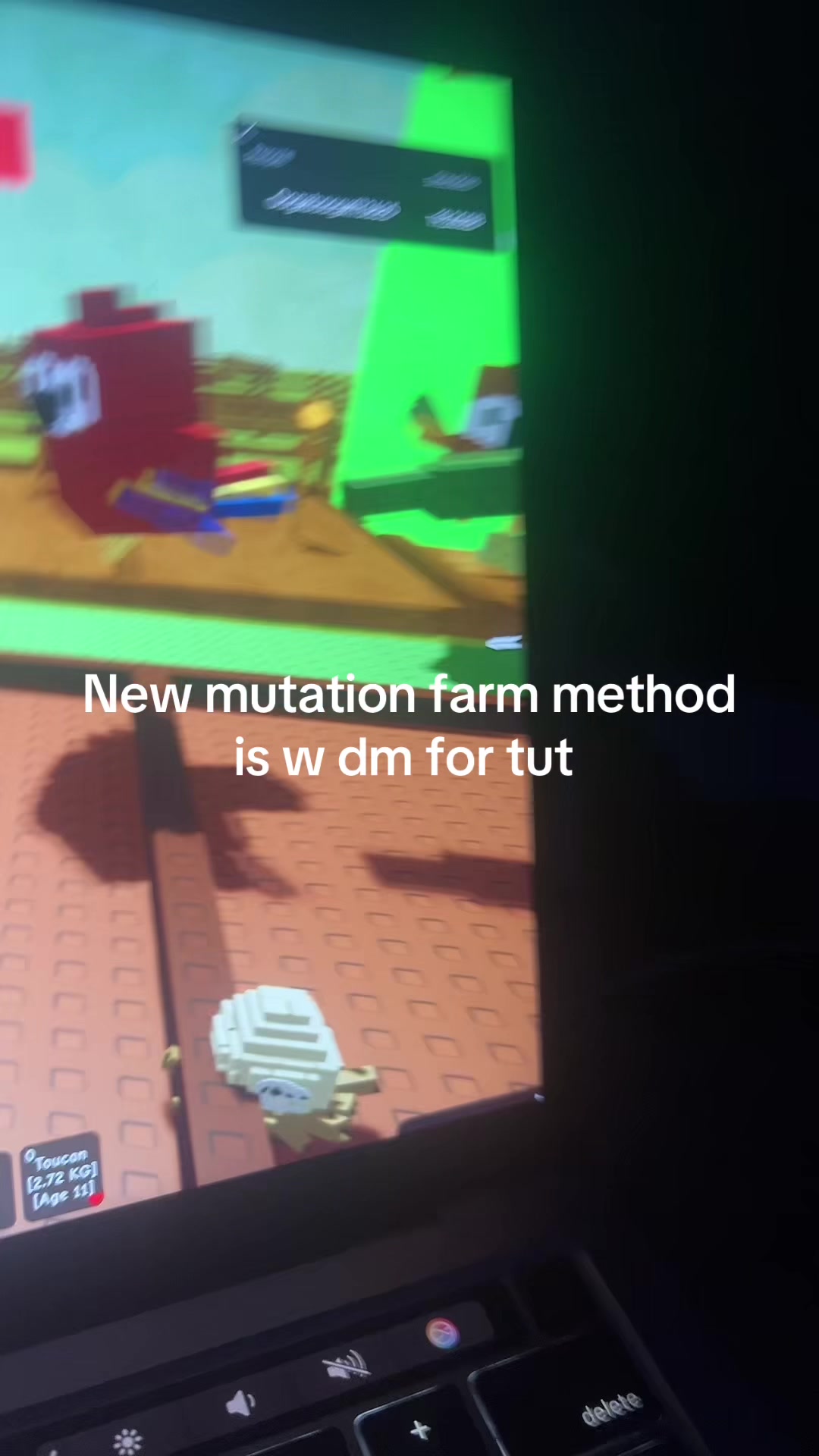 @Oogabooga