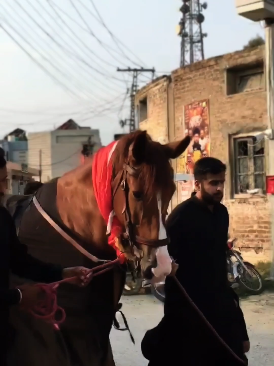 @مرکزی ذوالجناح تلہ گنگ
