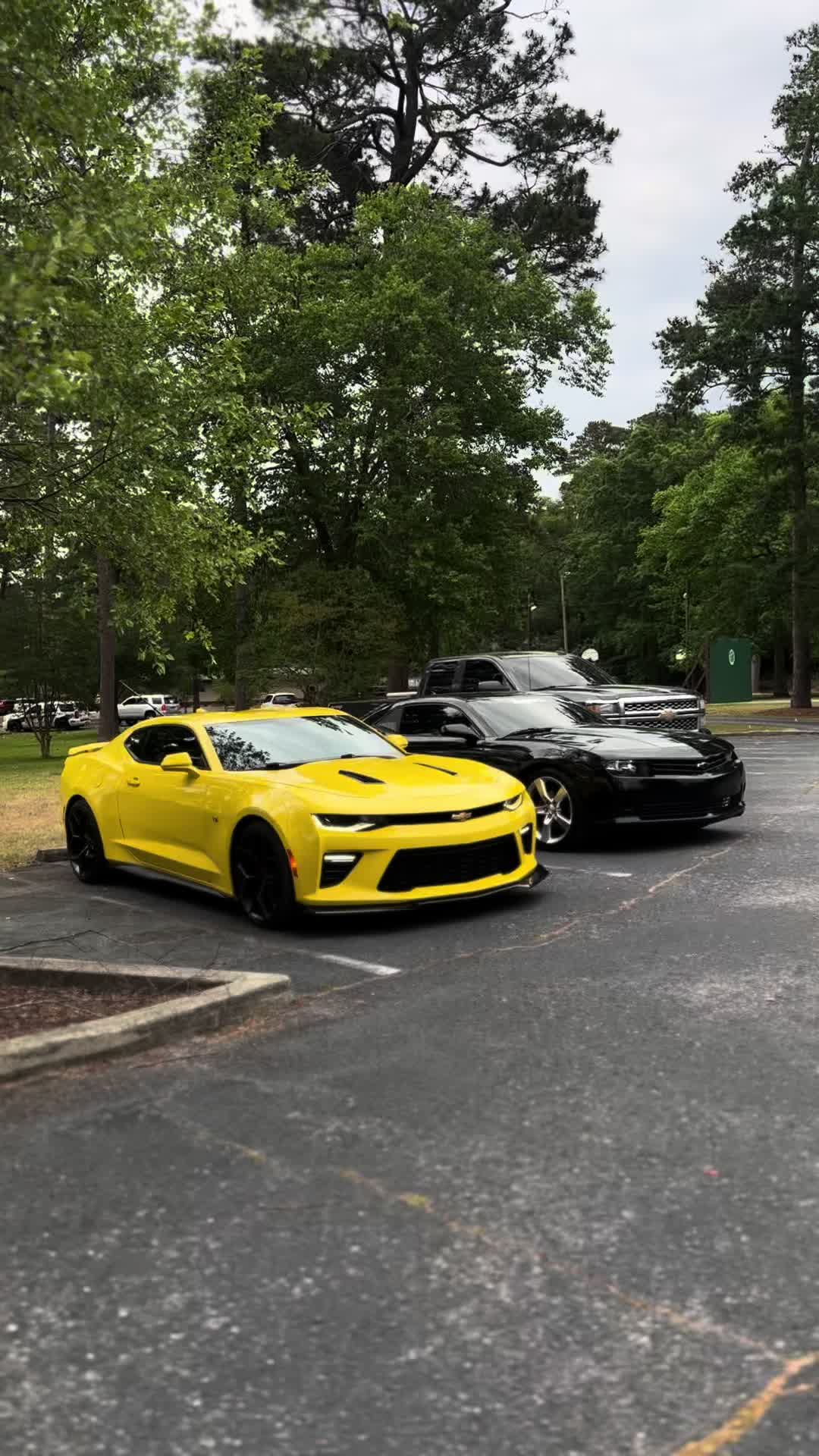 @avery.mawhir