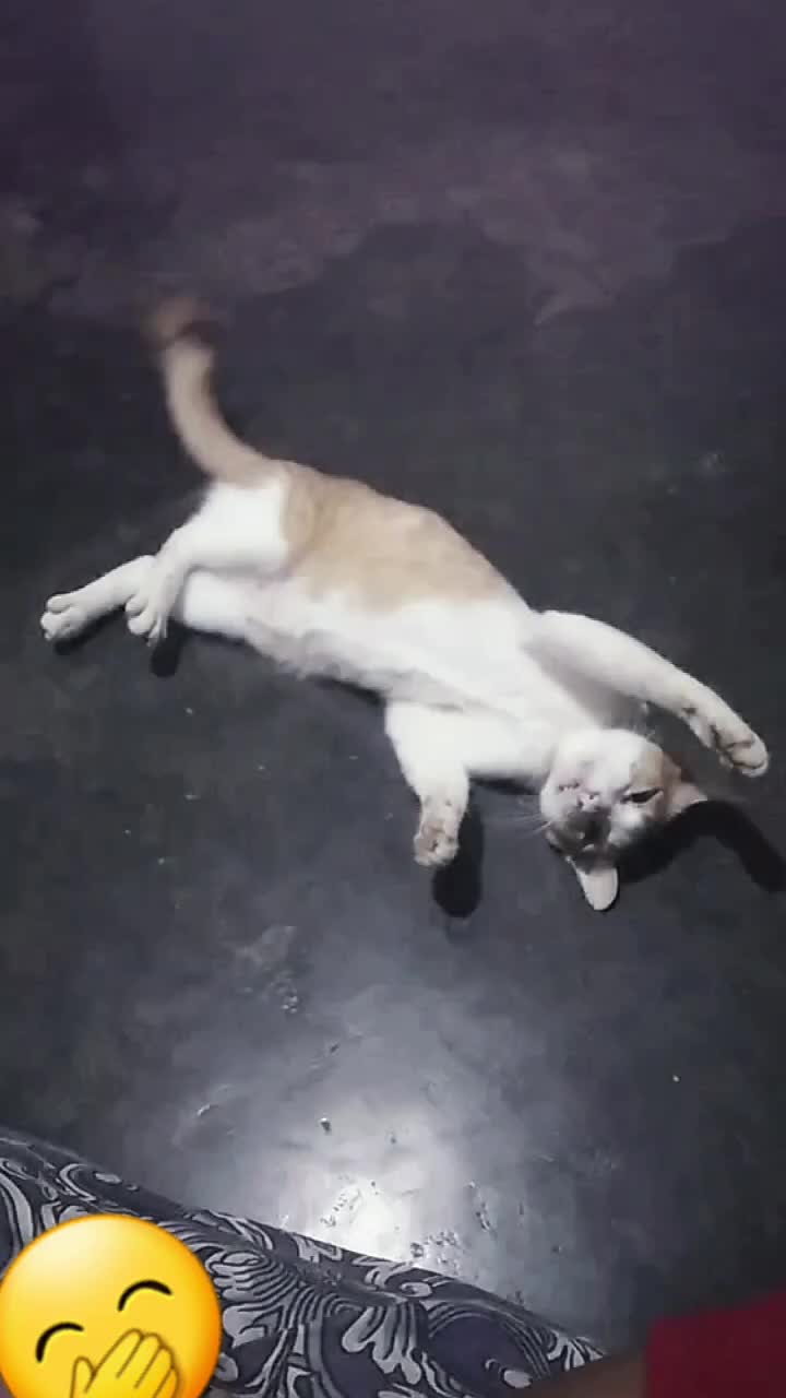 @іᥒᥲ💤🌷